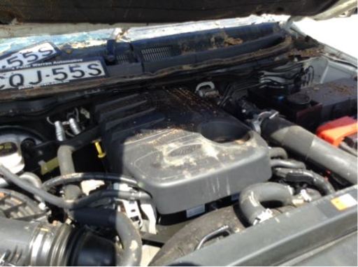 Wrecking ford ranger xlt #9